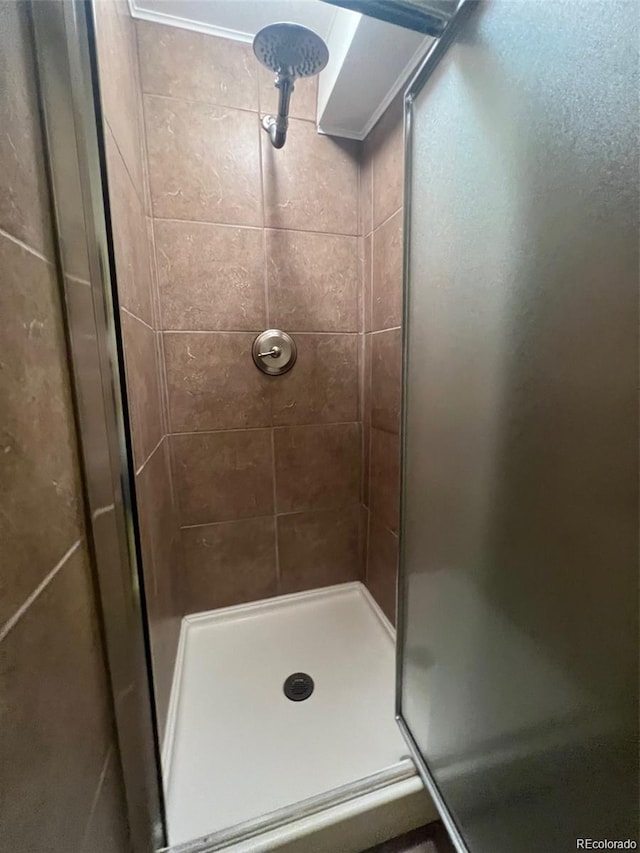 bathroom featuring a shower with shower door