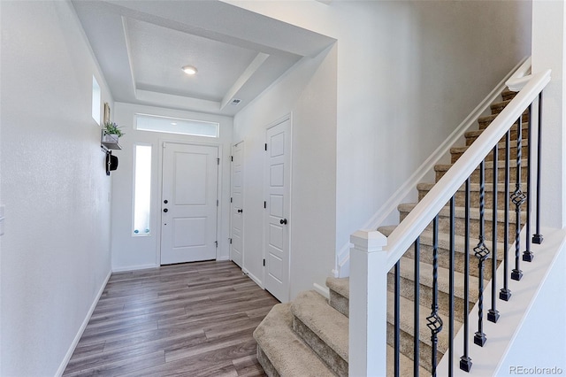 foyer entrance featuring a tray ceiling, hardwood / wood-style floors, and a wealth of natural light