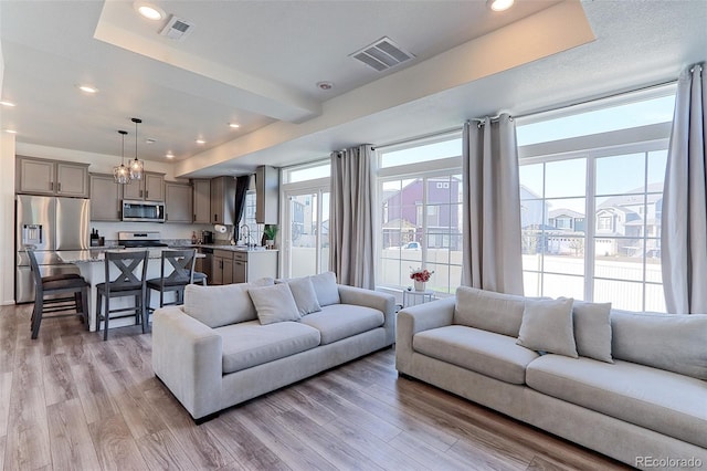 living room with sink, a tray ceiling, and light hardwood / wood-style floors