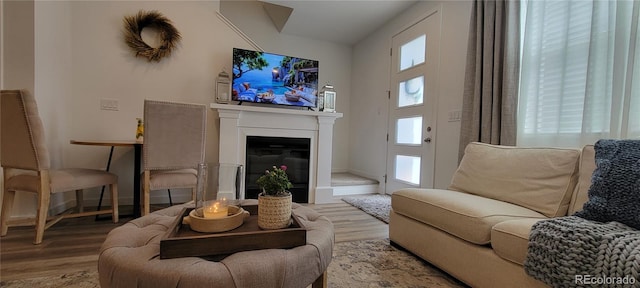 9279 Merino Ct Unit B, Littleton, CO 80125 - living area featuring wood finished floors, a glass covered fireplace, and baseboards