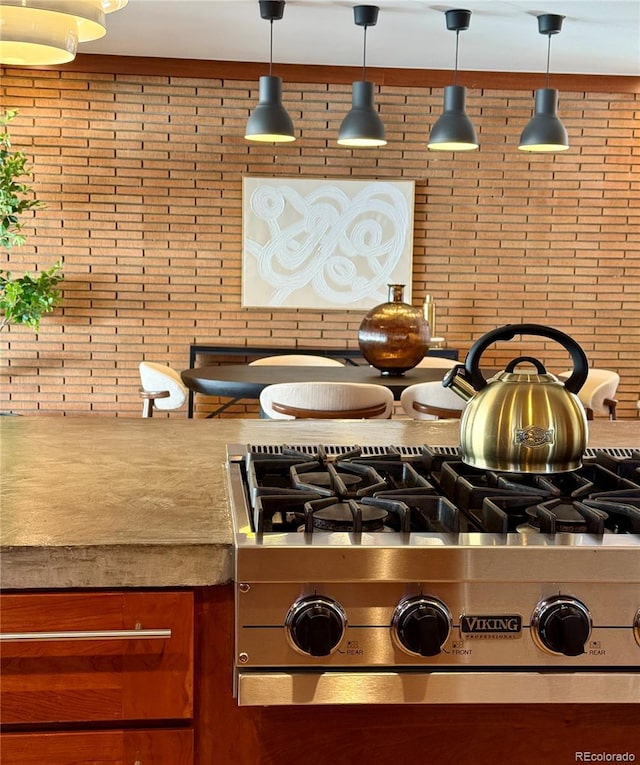 details with premium stove, pendant lighting, and stainless steel gas stovetop