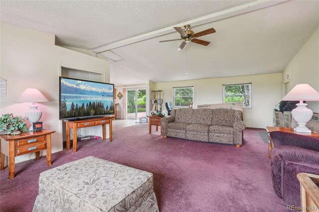 759 Palisade Mountain Dr, Drake, CO 80515 - photo 3