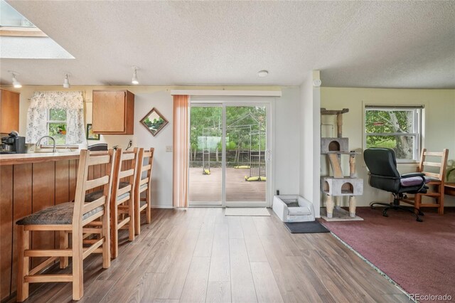 759 Palisade Mountain Dr, Drake, CO 80515 - photo 5