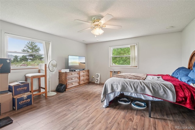 759 Palisade Mountain Dr, Drake, CO 80515 - photo 13