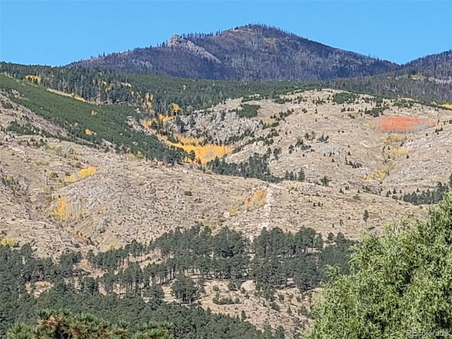 759 Palisade Mountain Dr, Drake, CO 80515 - photo 35