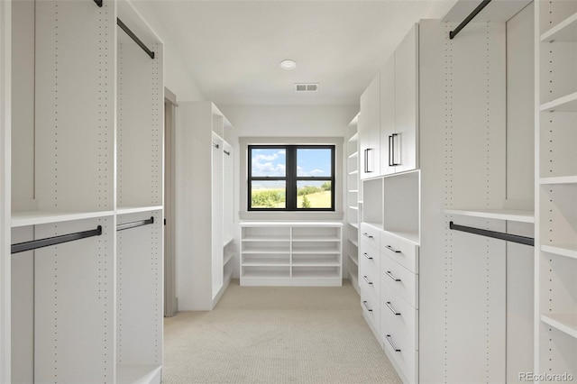 spacious closet with light carpet