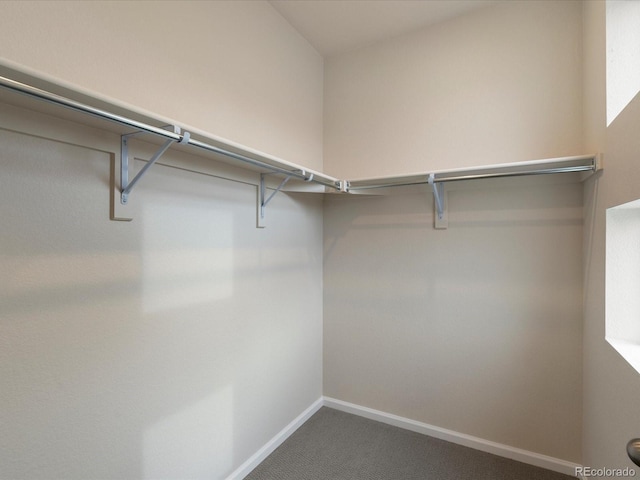 spacious closet with carpet