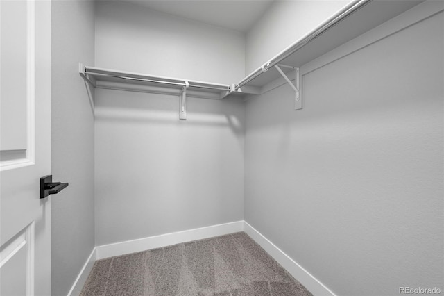 walk in closet with carpet
