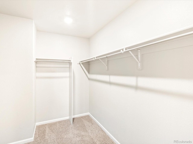 walk in closet featuring carpet flooring