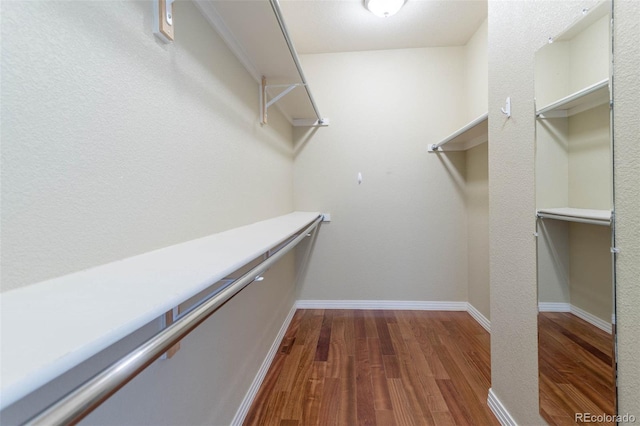 walk in closet with dark wood finished floors