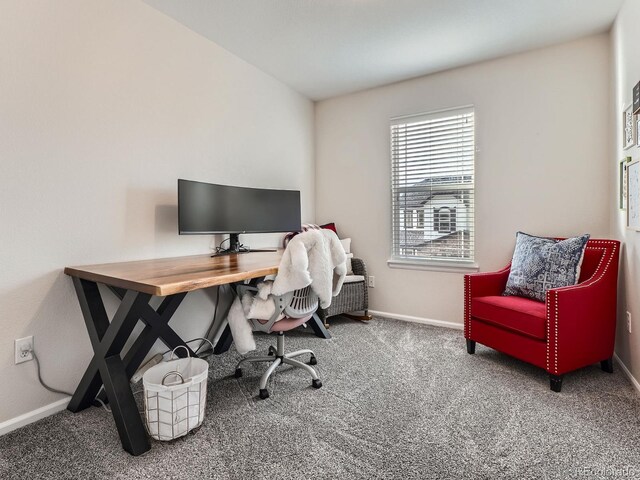 4862 S Piccadilly Ct, Aurora, CO 80015 - photo 25