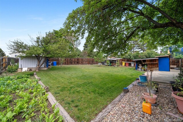 10007 Bryant St, Denver, CO 80260 - view of yard