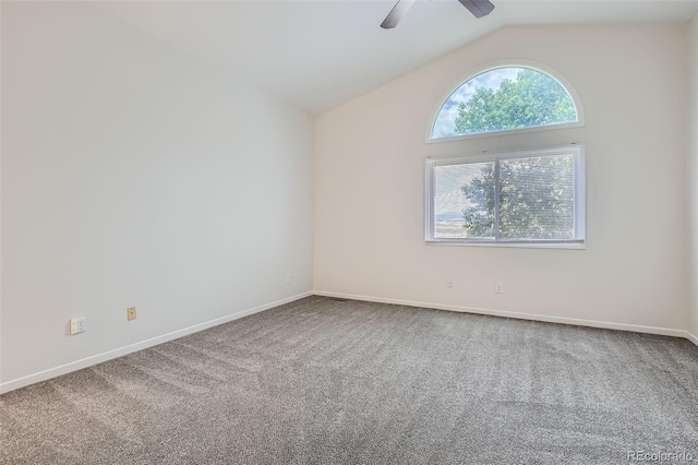 187 W Prestwick Ct, Castle Rock, CO 80104 - photo 9