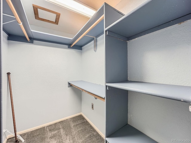 4032 S Atchison Way, Aurora, CO 80014 - walk in closet with carpet flooring
