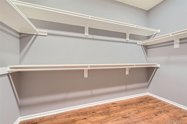 spacious closet featuring wood finished floors