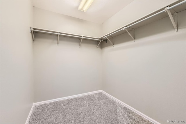 spacious closet with carpet