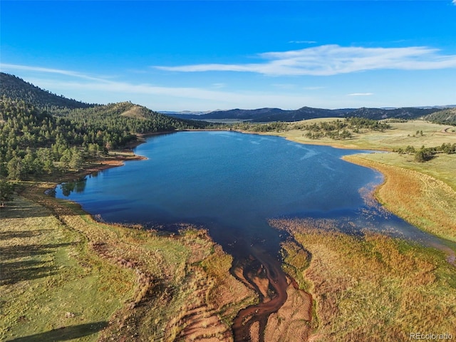 224 Lakeview Forest Hts, Florissant, CO 80816 - water view with mountains