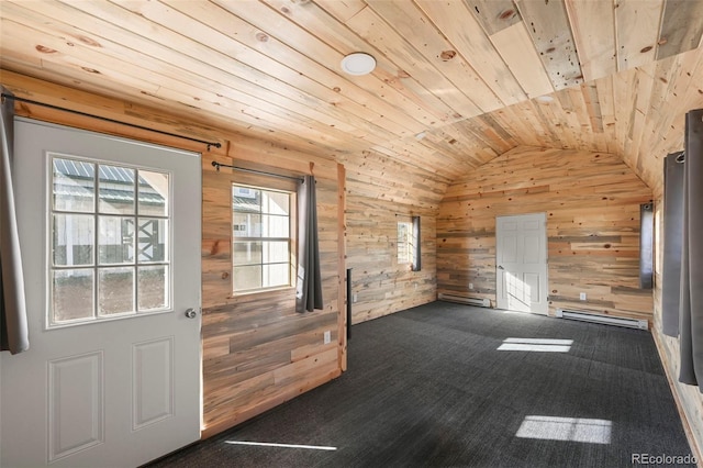 224 Lakeview Forest Hts, Florissant, CO 80816 - entryway featuring wooden walls, wooden ceiling, healthy amount of natural light, lofted ceiling, and carpet