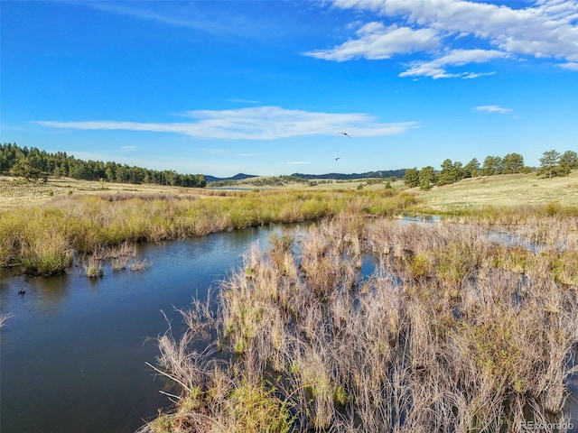 224 Lakeview Forest Hts, Florissant, CO 80816 - water view