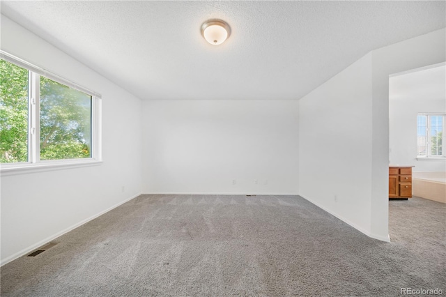 4064 S Himalaya Way, Aurora, CO 80013 - bonus room with carpet floors and a textured ceiling