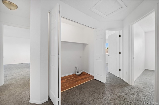 4064 S Himalaya Way, Aurora, CO 80013 - corridor featuring carpet flooring and attic access
