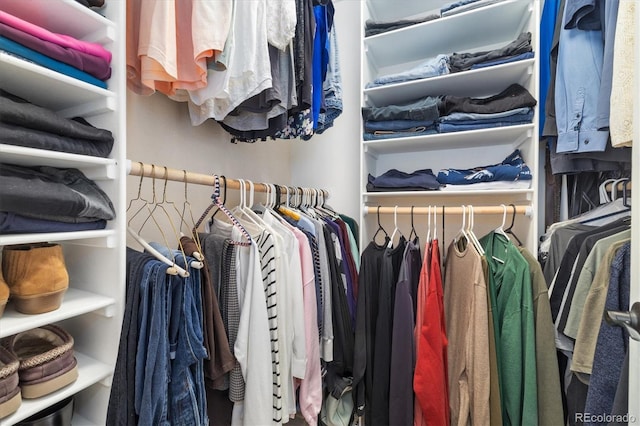 view of spacious closet