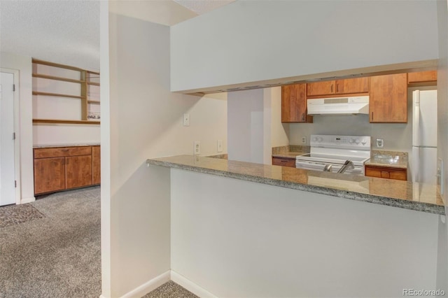 6505 Kalua Rd Unit 104B, Boulder, CO 80301 - kitchen featuring under cabinet range hood, white appliances, carpet floors, baseboards, and light stone countertops