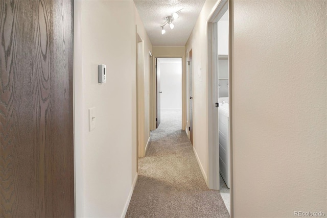 6505 Kalua Rd Unit 104B, Boulder, CO 80301 - hallway with light carpet and a textured ceiling