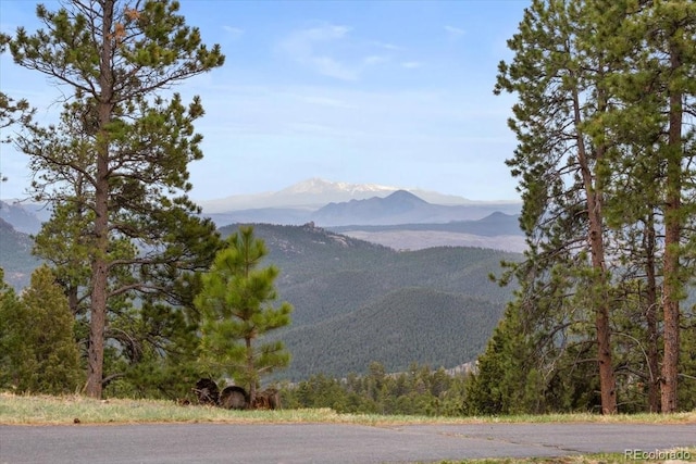 property view of mountains with a forest view