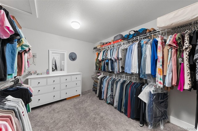 12214 Stone Timber Ct, Parker, CO 80134 - spacious closet with attic access and light colored carpet