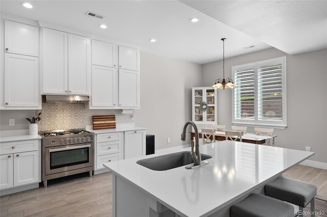 12214 Stone Timber Ct, Parker, CO 80134 - kitchen featuring stainless steel range, light wood finished floors, a kitchen bar, a chandelier, and under cabinet range hood