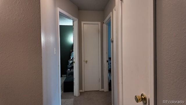 2742 Dickens Dr, Colorado Springs, CO 80916 - photo 14