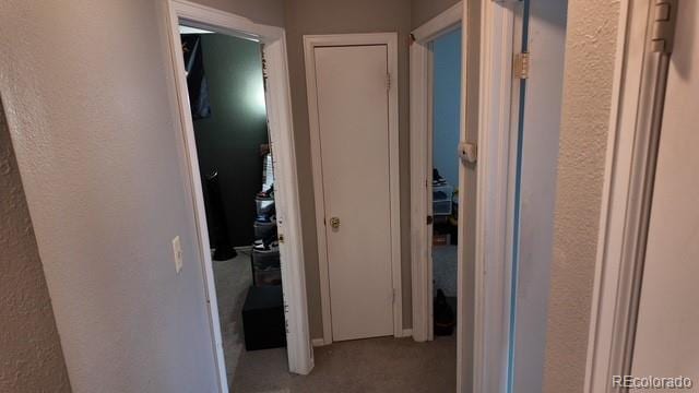2742 Dickens Dr, Colorado Springs, CO 80916 - photo 15