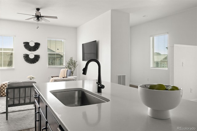 12547 Lake View St, Longmont, CO 80504 - kitchen featuring a sink, ceiling fan, and light countertops