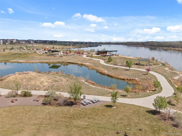 12547 Lake View St, Longmont, CO 80504 - water view