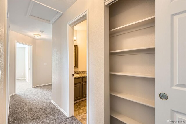 12701 Elm Ln, Broomfield, CO 80020 - view of closet