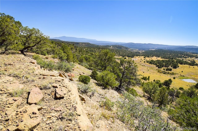 Listing photo 2 for 12 Colorado Hwy, Trinidad CO 81082