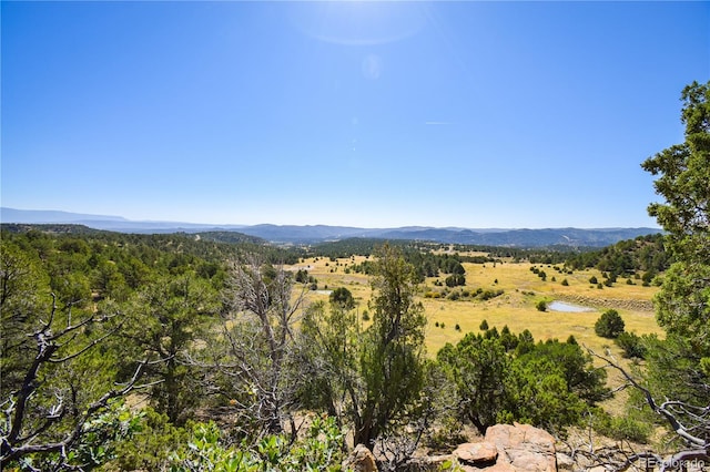 Listing photo 3 for 12 Colorado Hwy, Trinidad CO 81082