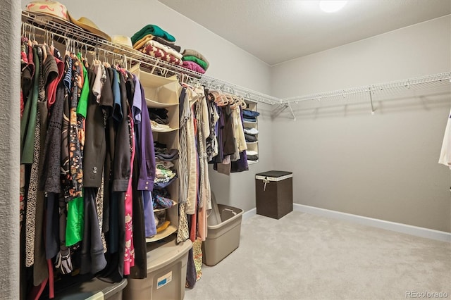 spacious closet featuring carpet