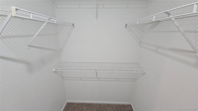 20864 E 49th Ave, Denver, CO 80249 - photo 29