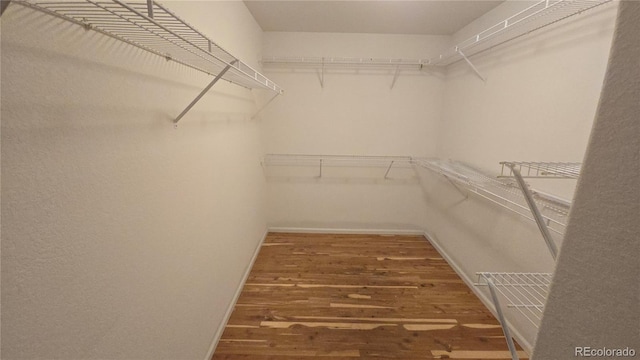 20864 E 49th Ave, Denver, CO 80249 - photo 23
