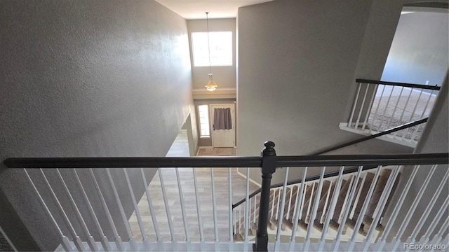 20864 E 49th Ave, Denver, CO 80249 - photo 15