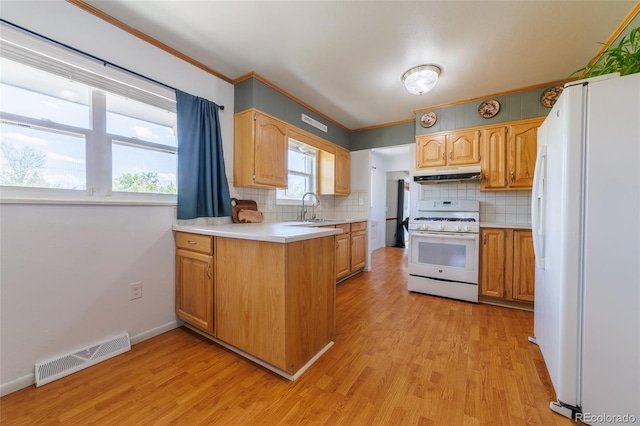 14347 E 134th Ave, Brighton, CO 80601 - kitchen featuring white appliances, under cabinet range hood, a sink, light wood finished floors, and ornamental molding