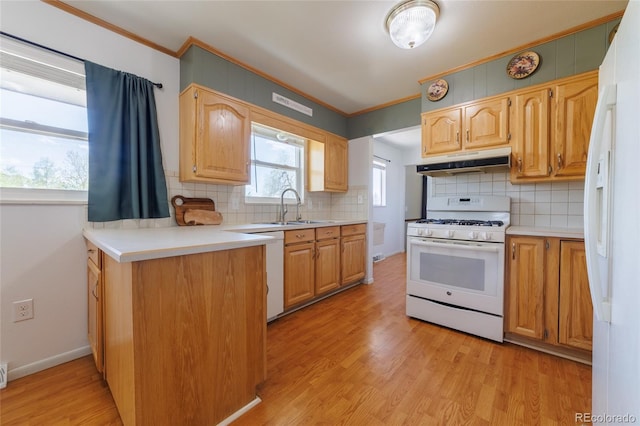 14347 E 134th Ave, Brighton, CO 80601 - kitchen with white appliances, under cabinet range hood, a sink, crown molding, and decorative backsplash