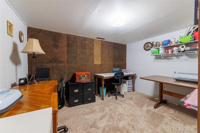 14347 E 134th Ave, Brighton, CO 80601 - view of carpeted home office