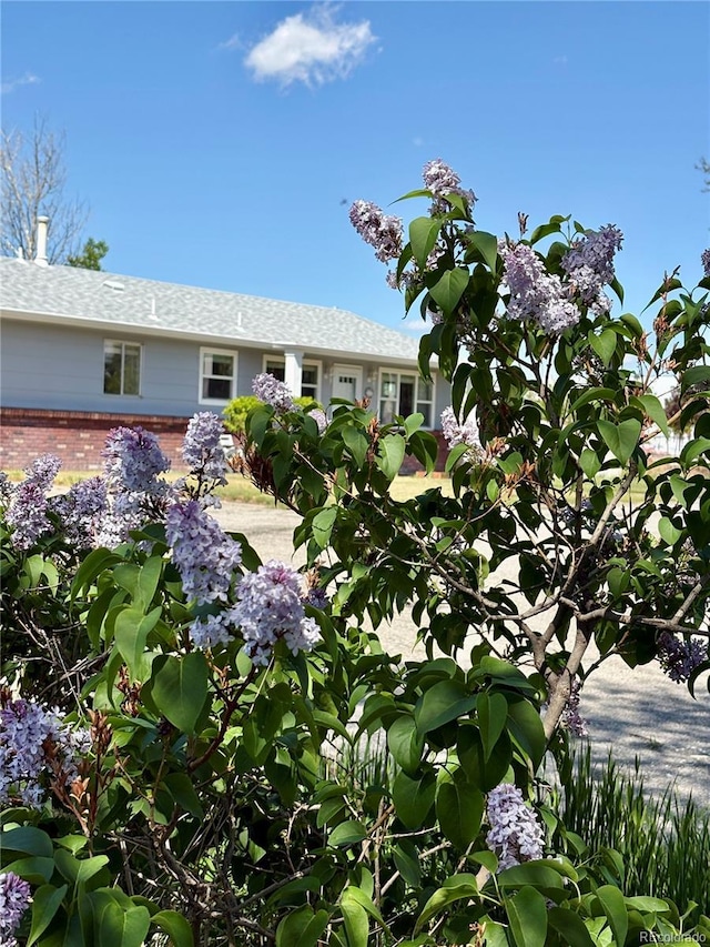 14347 E 134th Ave, Brighton, CO 80601 - view of front facade featuring brick siding