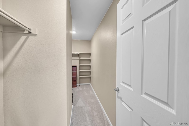 spacious closet featuring light carpet