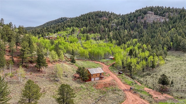 18766 State Highway 67, Divide, CO 80814 - view from above of property with a forest and a mountain backdrop