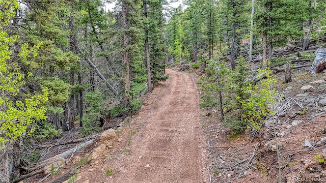 18766 State Highway 67, Divide, CO 80814 - view of road featuring a forest view