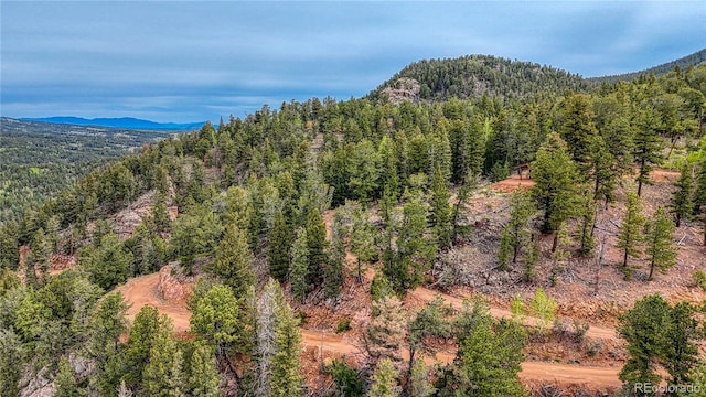 18766 State Highway 67, Divide, CO 80814 - view of mountain backdrop featuring a forest